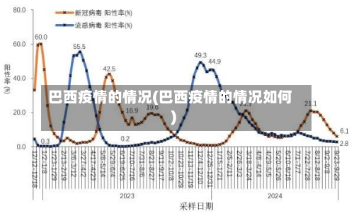 巴西疫情的情况(巴西疫情的情况如何)