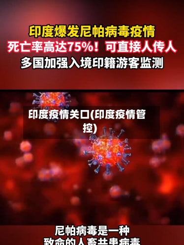 印度疫情关口(印度疫情管控)-第2张图片