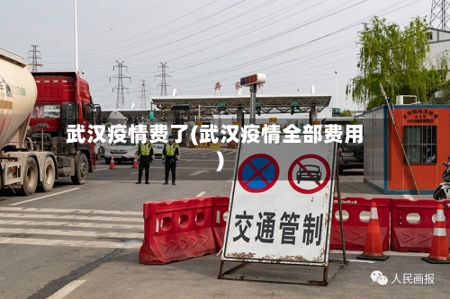 武汉疫情费了(武汉疫情全部费用)