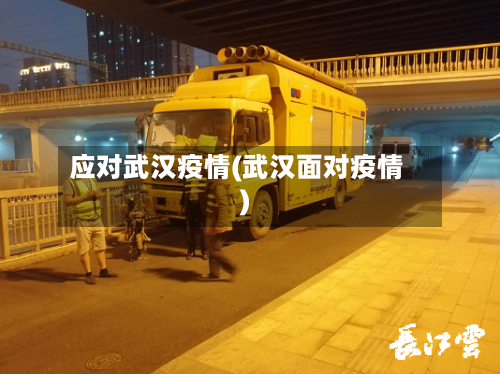 应对武汉疫情(武汉面对疫情)