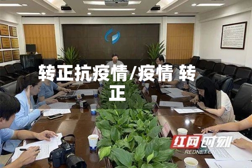 转正抗疫情/疫情 转正