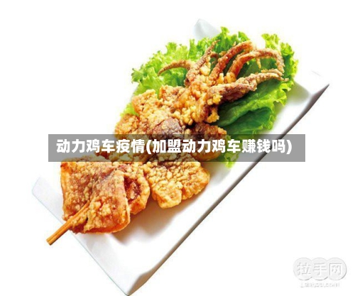 动力鸡车疫情(加盟动力鸡车赚钱吗)-第3张图片
