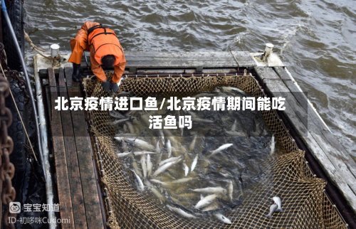 北京疫情进口鱼/北京疫情期间能吃活鱼吗-第2张图片