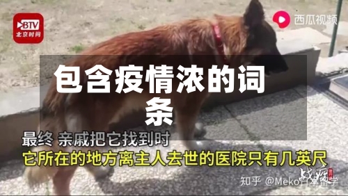 包含疫情浓的词条