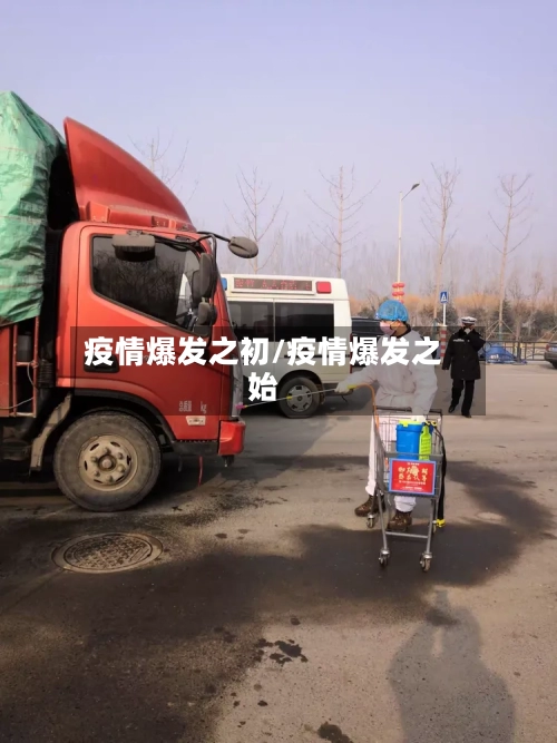 疫情爆发之初/疫情爆发之始