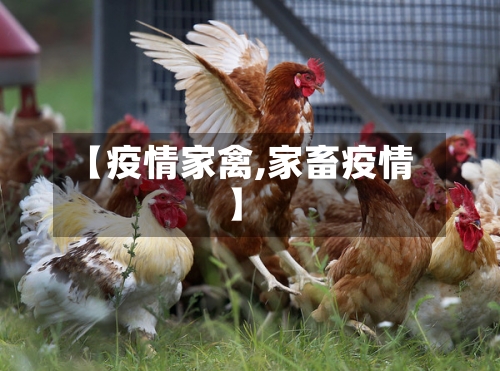 【疫情家禽,家畜疫情】-第3张图片