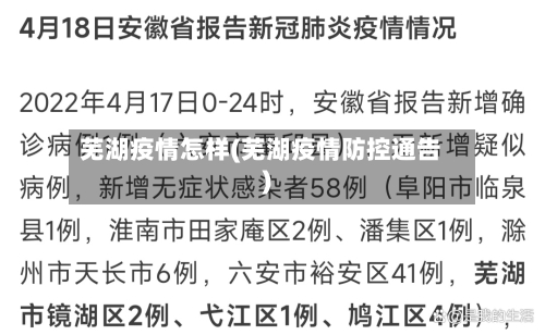 芜湖疫情怎样(芜湖疫情防控通告)-第2张图片