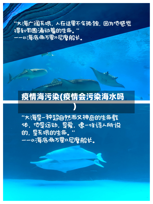 疫情海污染(疫情会污染海水吗)