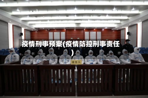 疫情刑事预案(疫情防控刑事责任)