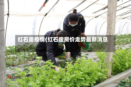 红石崖疫情(红石崖房价走势最新消息)