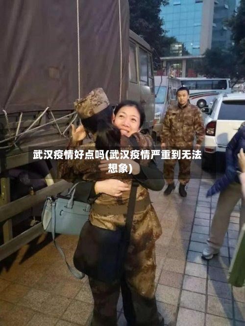武汉疫情好点吗(武汉疫情严重到无法想象)