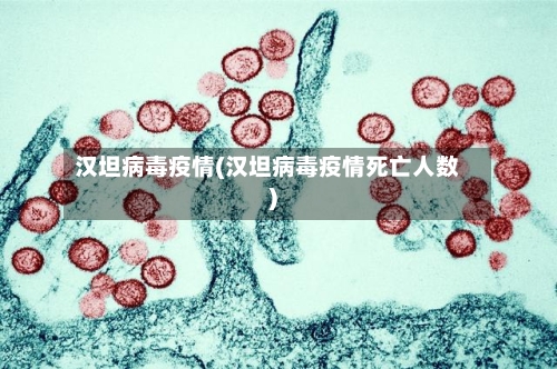 汉坦病毒疫情(汉坦病毒疫情死亡人数)