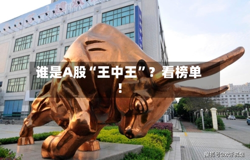 谁是A股“王中王”？看榜单！