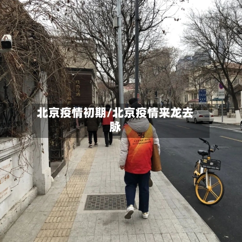 北京疫情初期/北京疫情来龙去脉