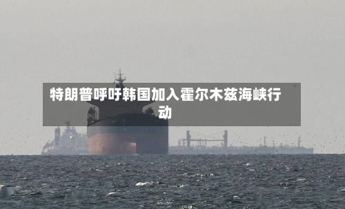 特朗普呼吁韩国加入霍尔木兹海峡行动