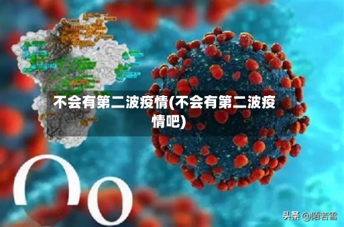 不会有第二波疫情(不会有第二波疫情吧)