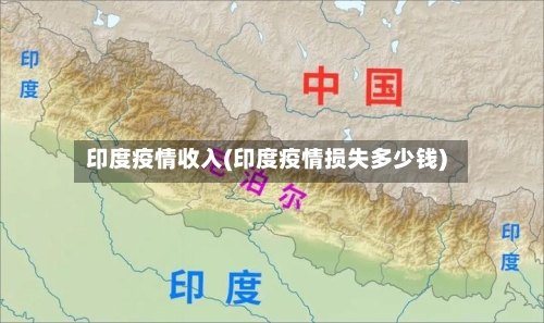 印度疫情收入(印度疫情损失多少钱)