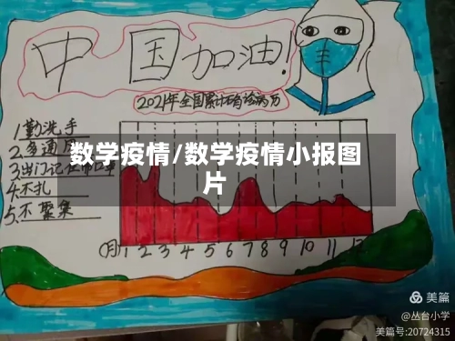 数学疫情/数学疫情小报图片