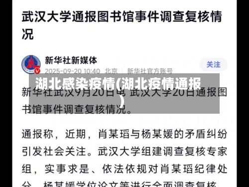 湖北感染疫情(湖北疫情通报)