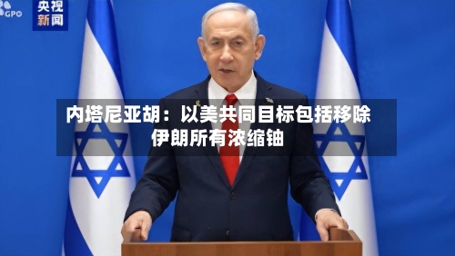 内塔尼亚胡：以美共同目标包括移除伊朗所有浓缩铀