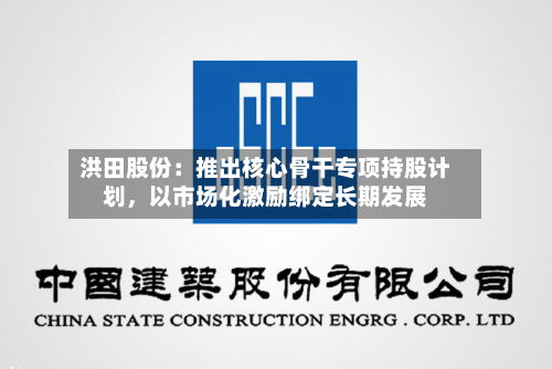 洪田股份：推出核心骨干专项持股计划，以市场化激励绑定长期发展