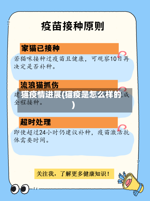 猫疫情进展(猫疫是怎么样的)